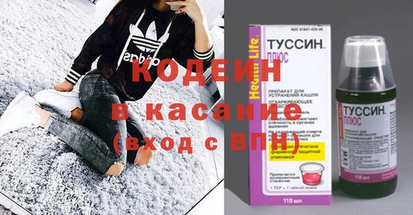 прущие грибы Арсеньев