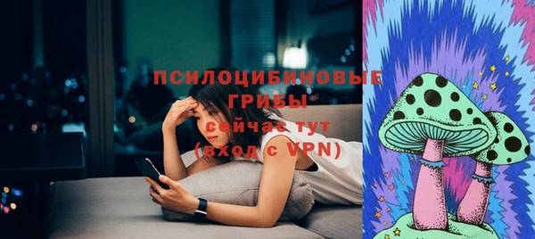 прущие грибы Арсеньев